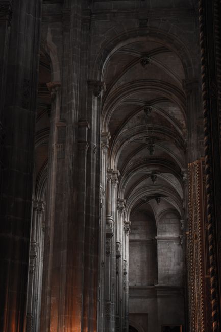 Photo by Mohammed-Ali Hamadache on pexels