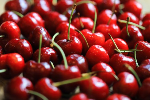 A vibrant close-up of fresh red cherries with stems, showcasing their glossy texture and rich color.