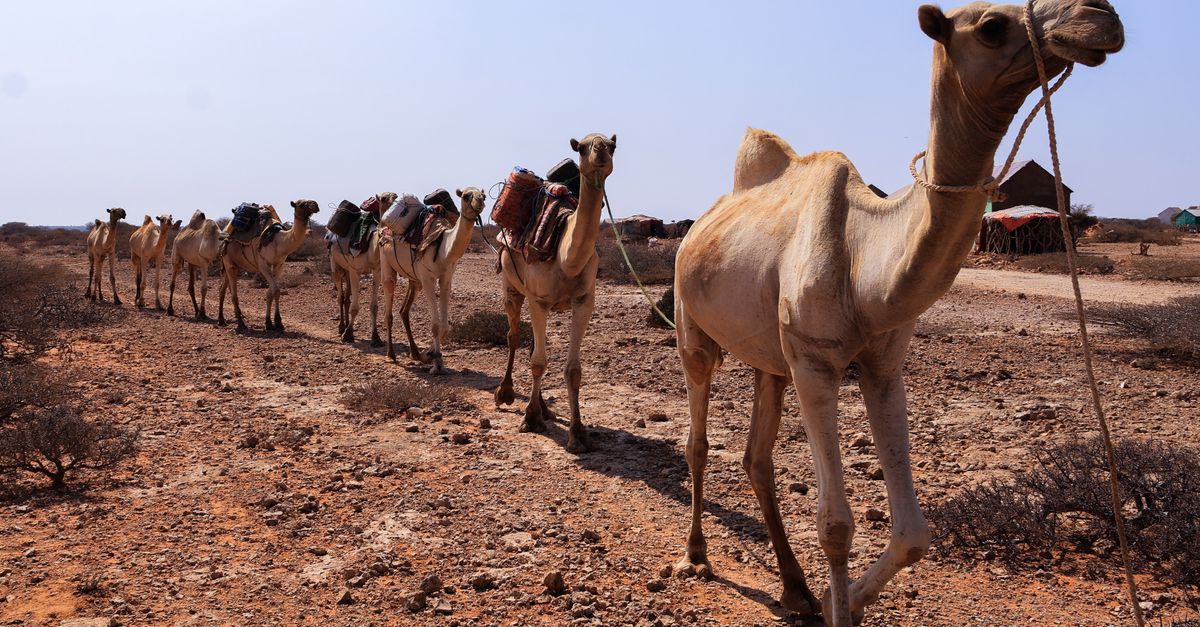 Photo of Somalia