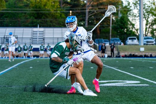 Intense lacrosse match with two players in action on grassy field.