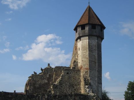 Explore the medieval ruins of Cârța Monastery in Sibiu, Romania, basking in sunlight.