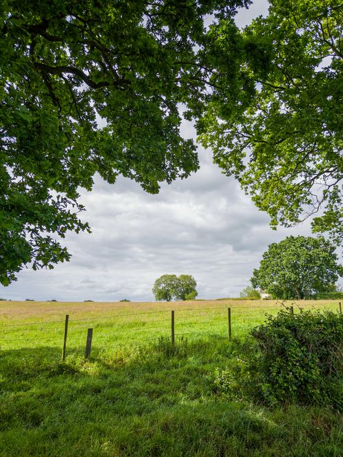 Free Lush green field in the serene English countryside framed by trees. Stock Photo