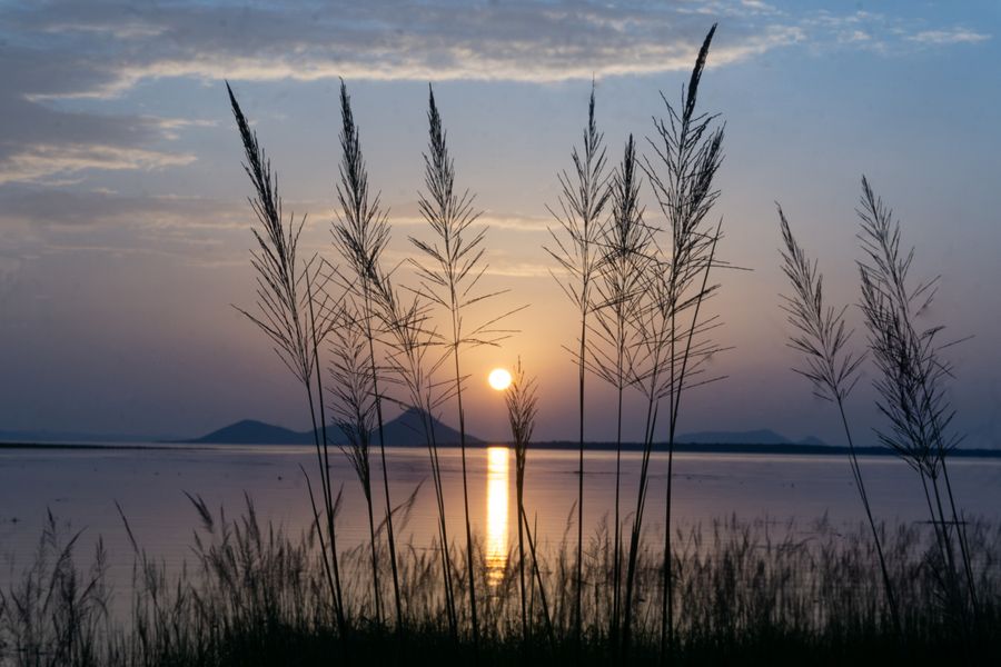 Chilika & Rambha Coast photo 7