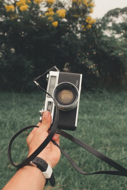 A hand holds a vintage camera with a lush green background and blooming yellow flowers.