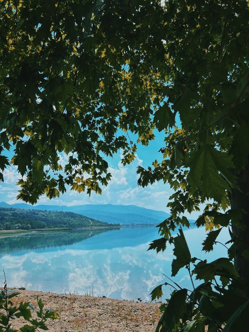 Free Idyllic lake scene framed by lush green leaves, reflecting a clear blue sky. Stock Photo