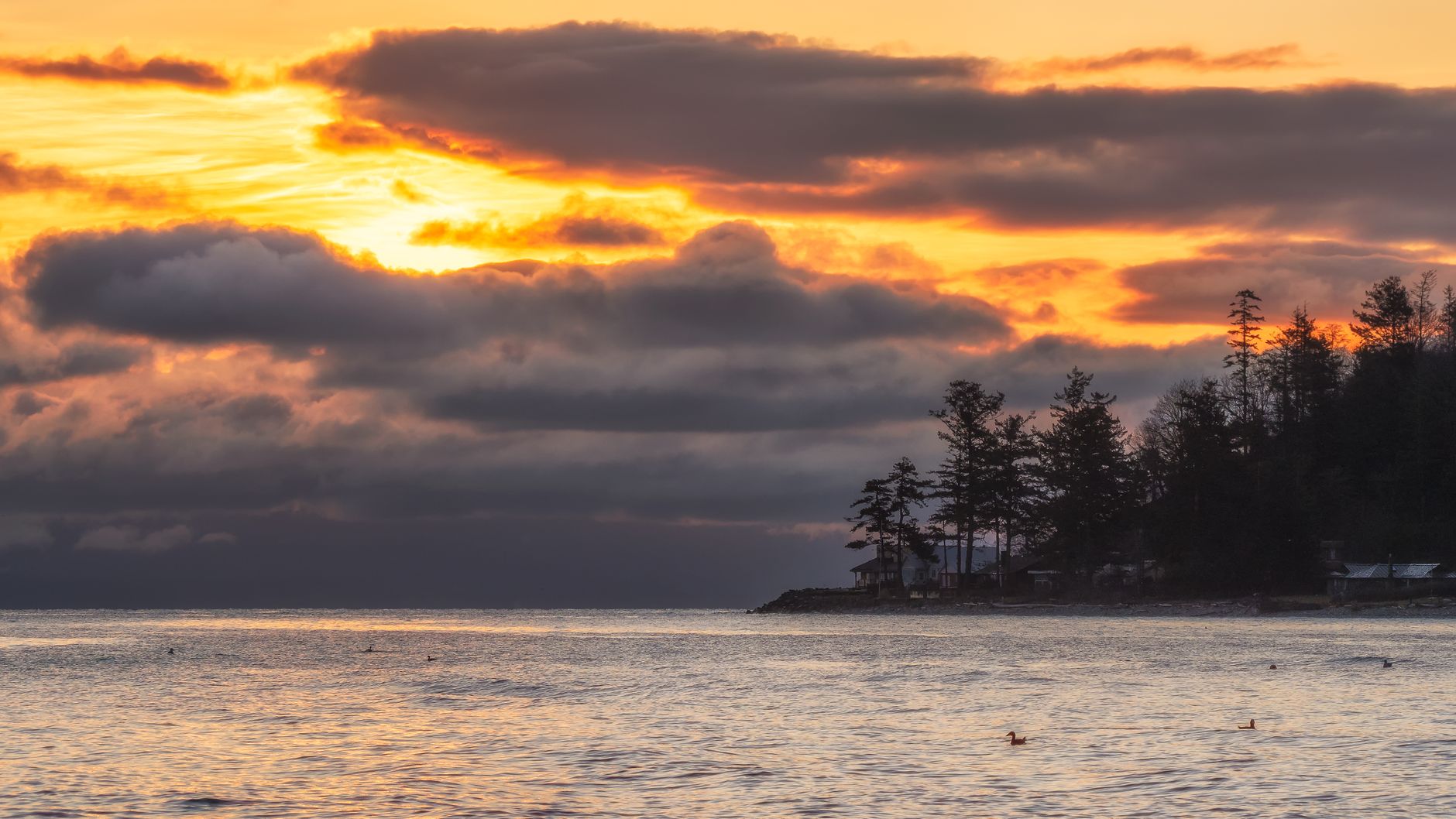 Comox — Comox
