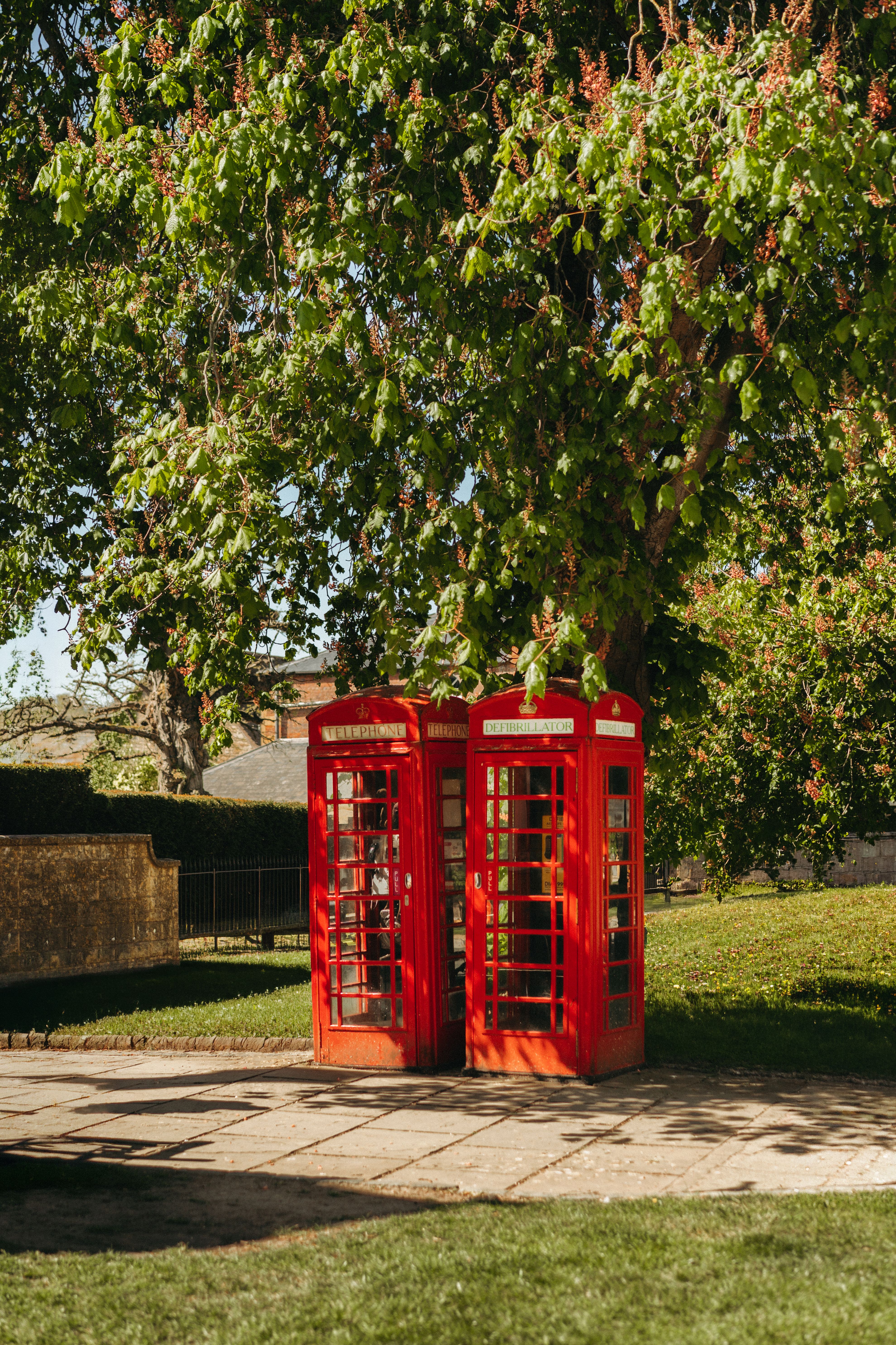 Classic red phone booths under a sunny Oxfordshire tree, highlighting British charm.