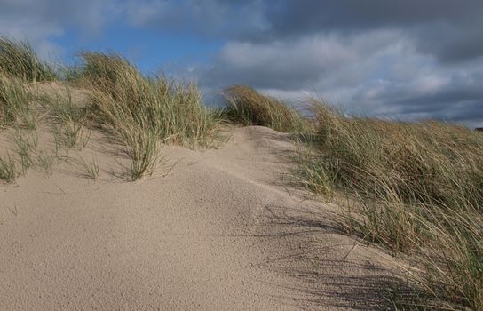 windswept sand dunes