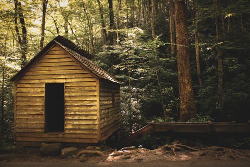 Free A rustic wooden cabin sits in a lush forest, evoking a sense of tranquility and seclusion. Stock Photo