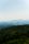forest landscape