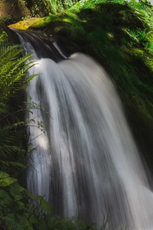 Free A mesmerizing waterfall cascading down lush greenery in Baden-Württemberg, Germany. Stock Photo