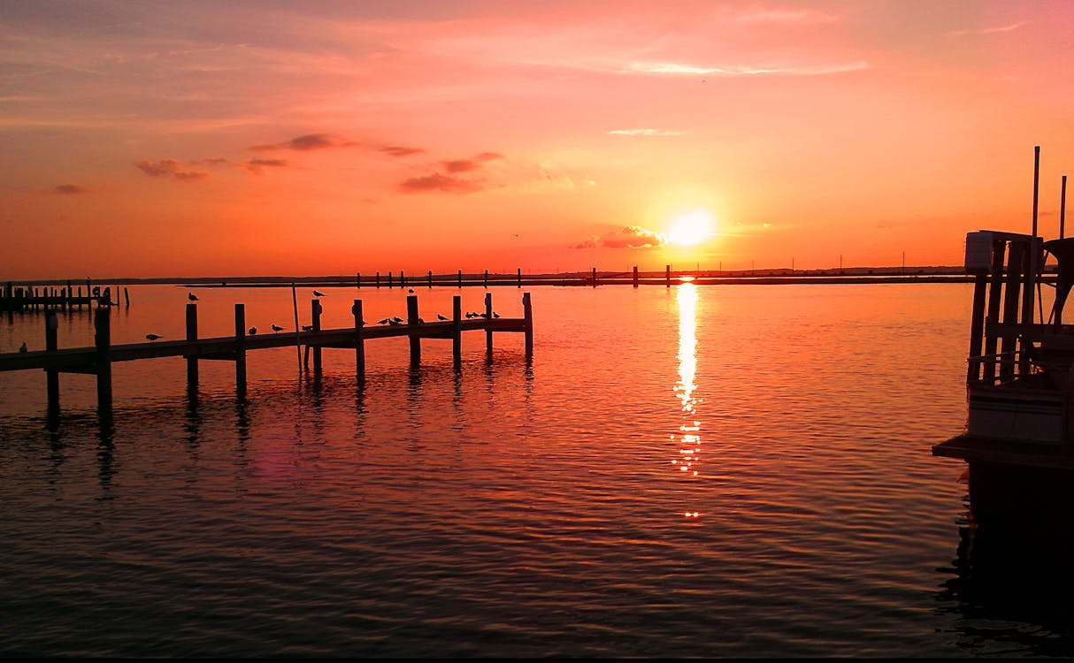 免费 水体附近的日落美景 素材图片