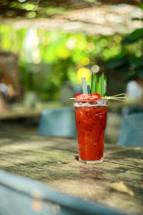 Free Chilled berry cocktail with ice, garnished with greens, outdoors on a sunny day. Stock Photo