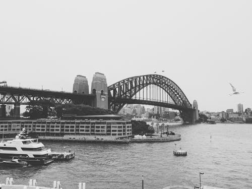 河上大橋的灰度照片