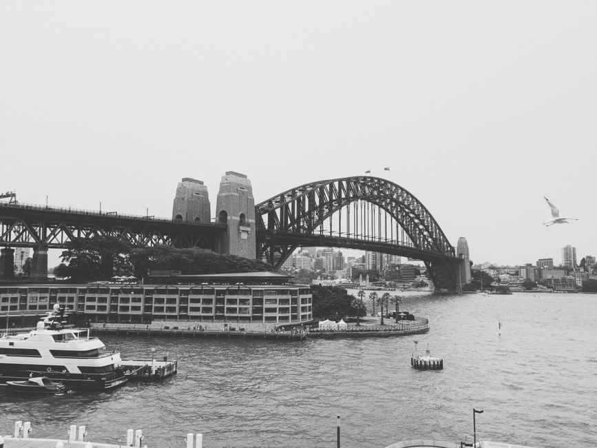 Sydney's Sparkle Exploring Australia's Iconic Harbour City Sydney's Sparkle Exploring Australia's Iconic Harbour City