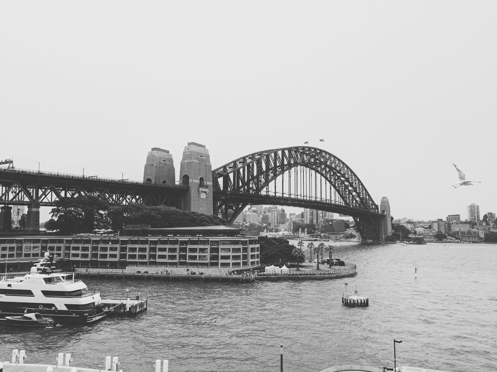 河上大桥的灰度照片