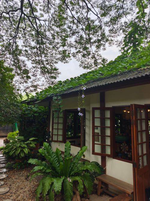 Free View of a cozy cottage surrounded by lush green plants and hanging flowers. Stock Photo