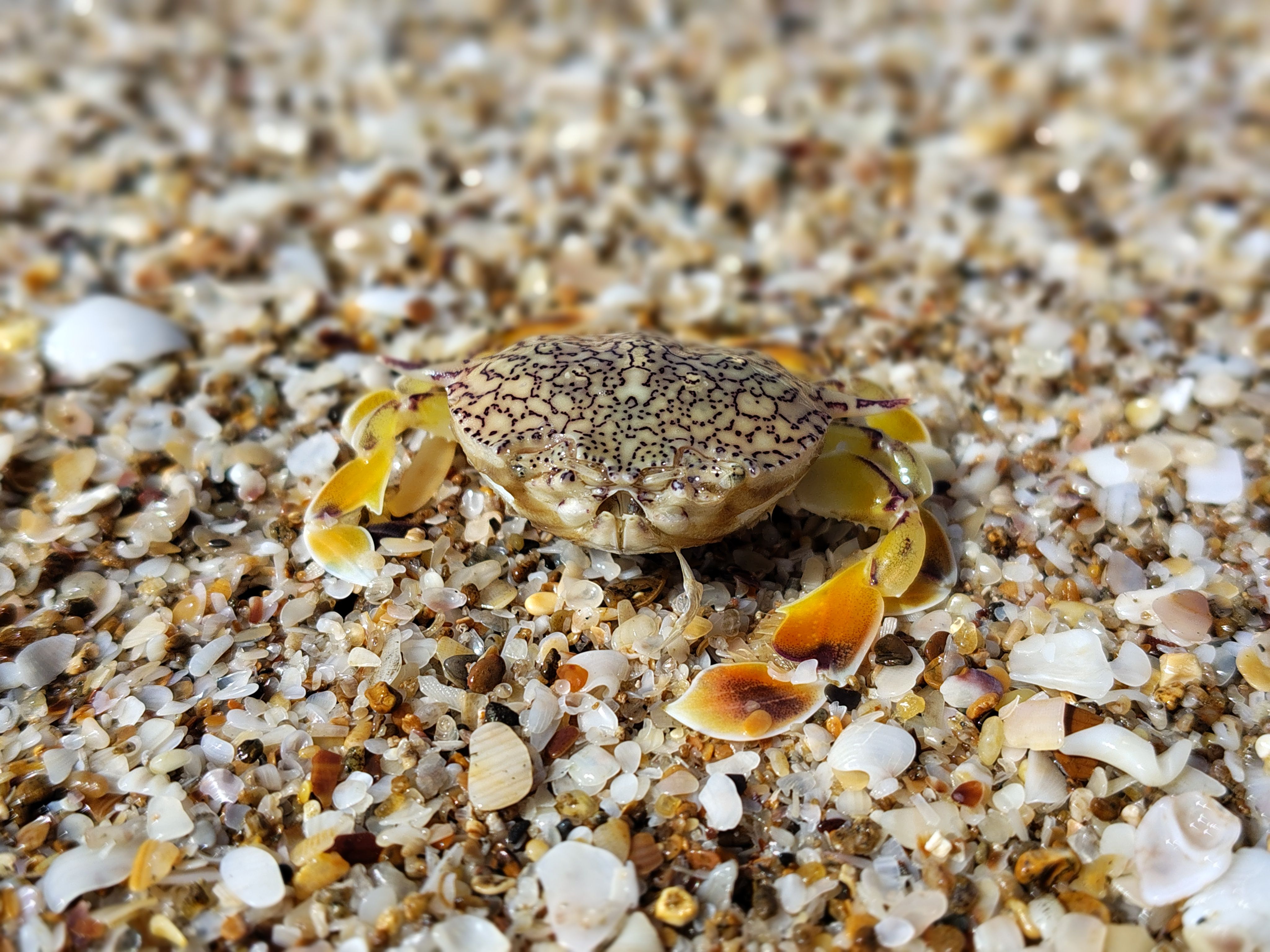 Mahuva, India