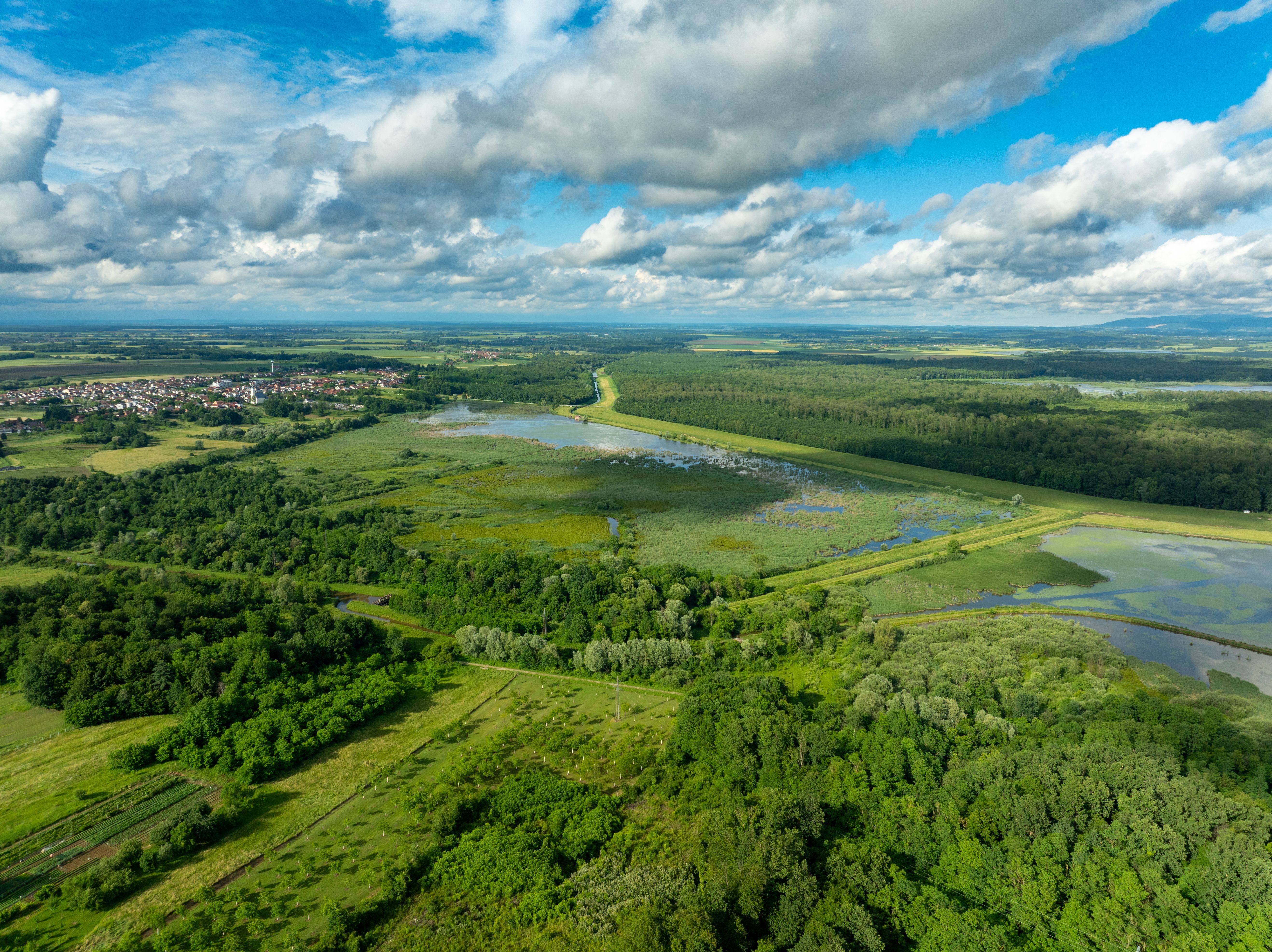 Étude de la biodiversité locale