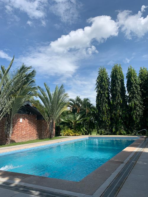 Free Serene outdoor pool setting surrounded by lush palms and clear blue sky. Stock Photo