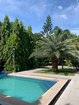Serene outdoor pool surrounded by verdant tropical trees under a bright blue sky.