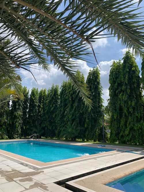 Free Discover tranquility at an outdoor pool surrounded by tall, verdant trees under a blue sky. Stock Photo