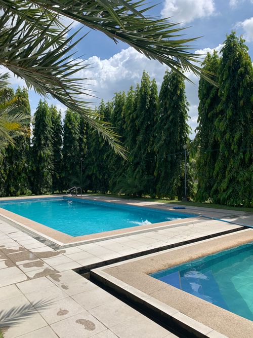Free Relax by a serene outdoor pool surrounded by lush greenery on a sunny day. Stock Photo