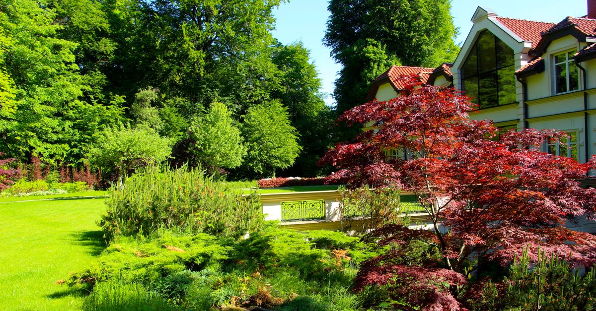 A beautiful garden showcases vibrant green plants and a modern house in the background, perfect for outdoor themes.