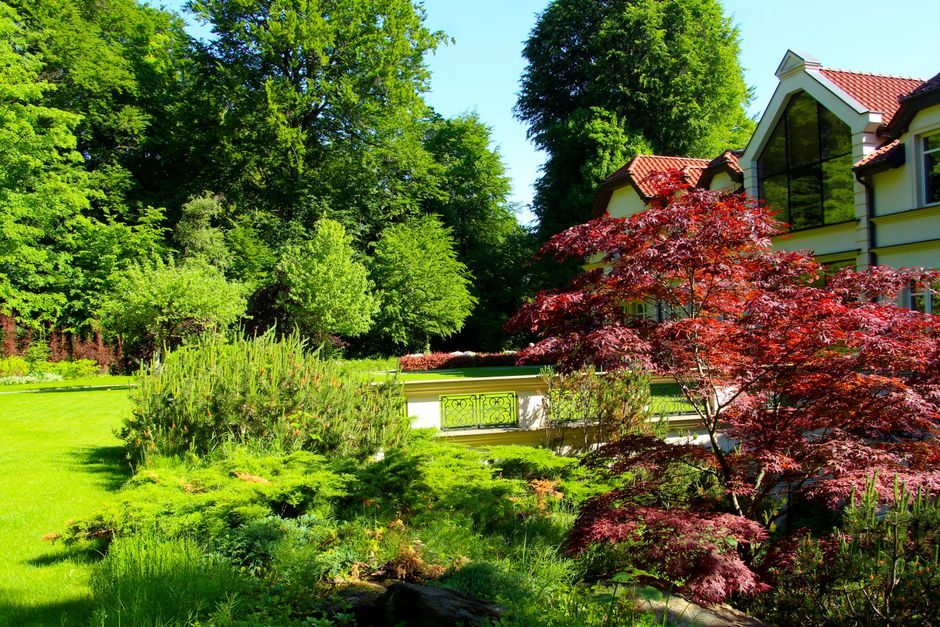 Lush ornamental garden with established shrubs — planting service berry trees in Surrey BC yards