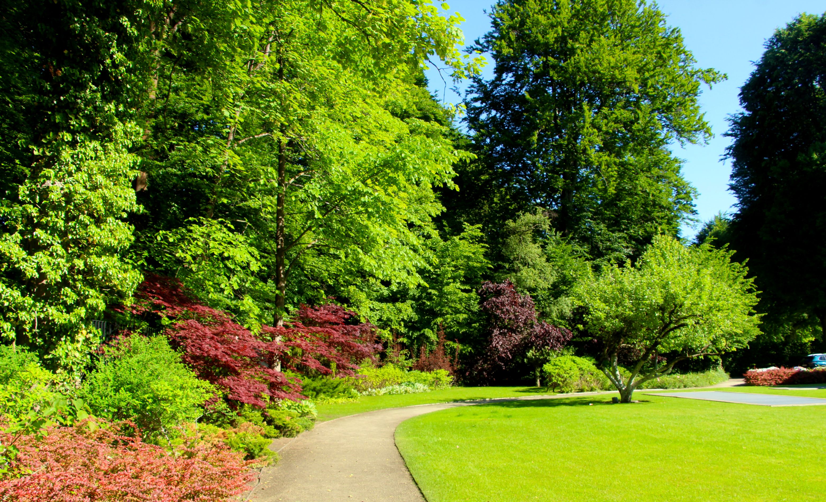 A winding path through the lush green parklands of Mount Penang Gardens in Kariong, NSW