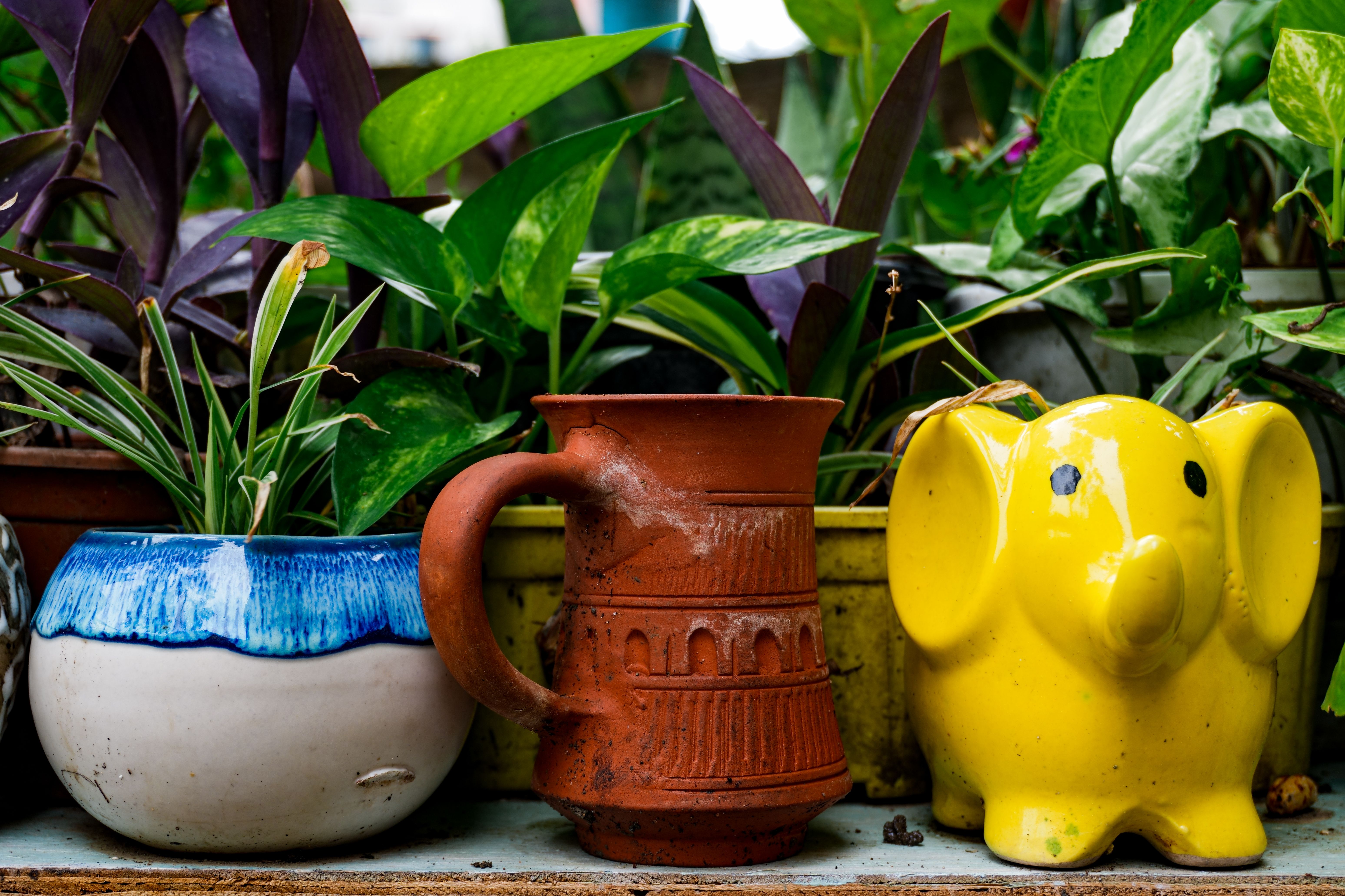 Designer Planter