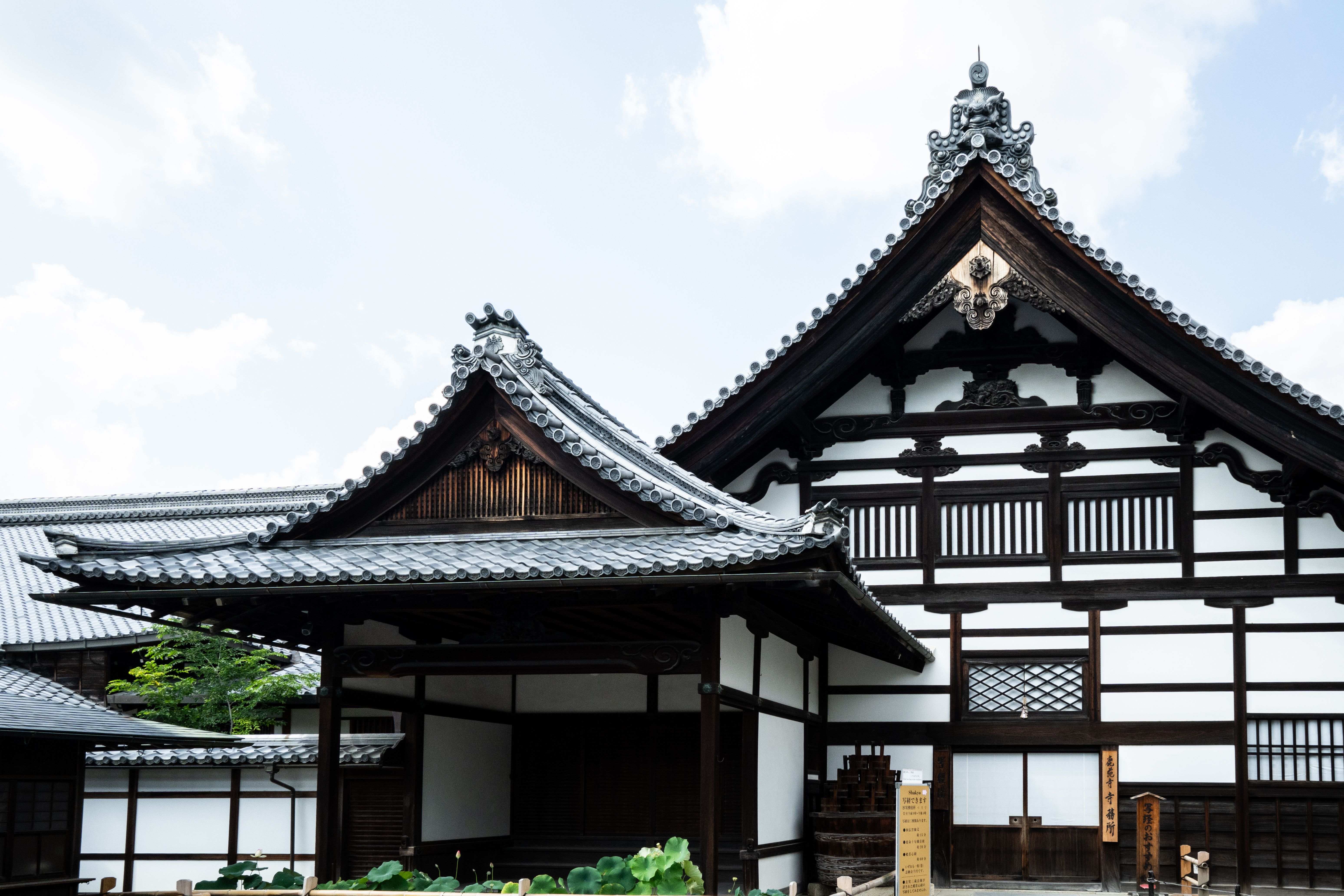 日本旅遊介紹：從日本自由行規劃到城市選擇，第一次出發也能更有方向