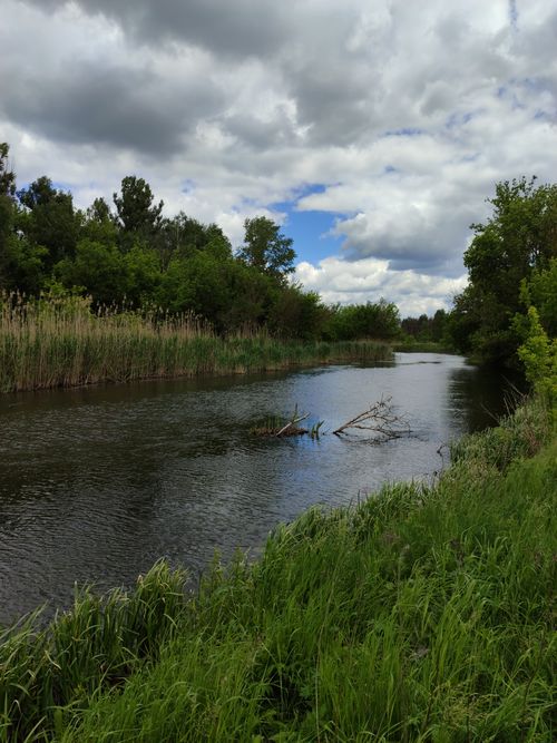 Free A tranquil river scene with lush greenery and a cloudy sky, reflecting peaceful nature. Stock Photo