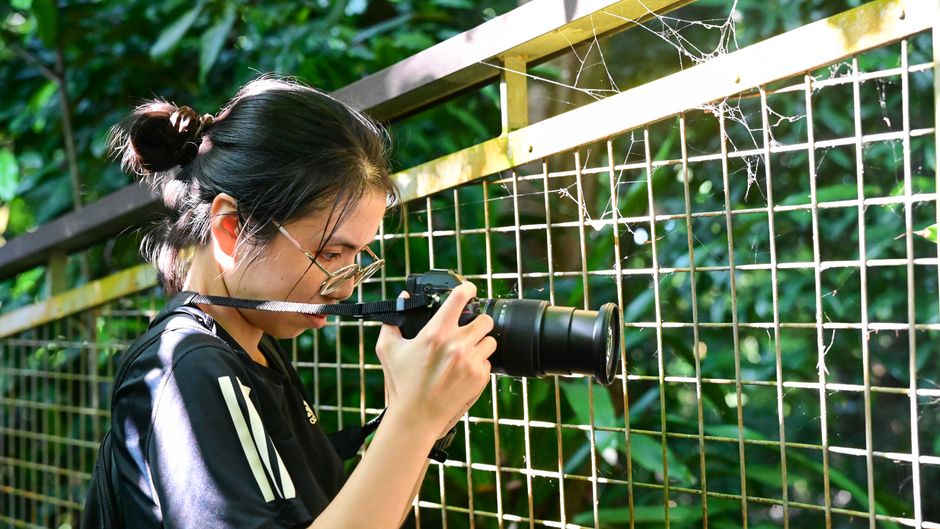 Photographers Singapore