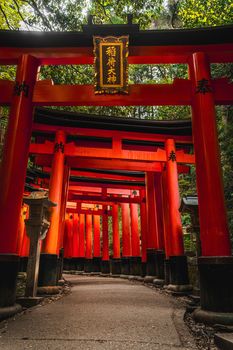 Elegantes Rot – Anime-Stil Hintergrundbild