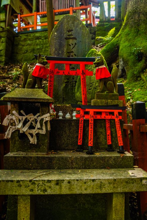 Free A mystical Shinto shrine with torii gates and fox statues in a lush forest setting. Stock Photo