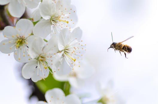 ¿Qué significa soñar con abejas que te pican?