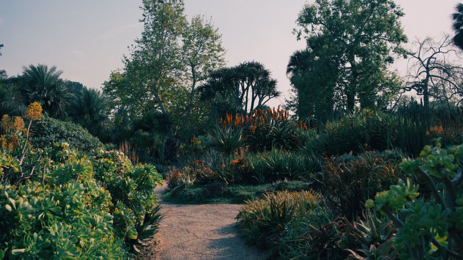 The Garden Tools Every Gardener Actually Needs (and the Junk)
