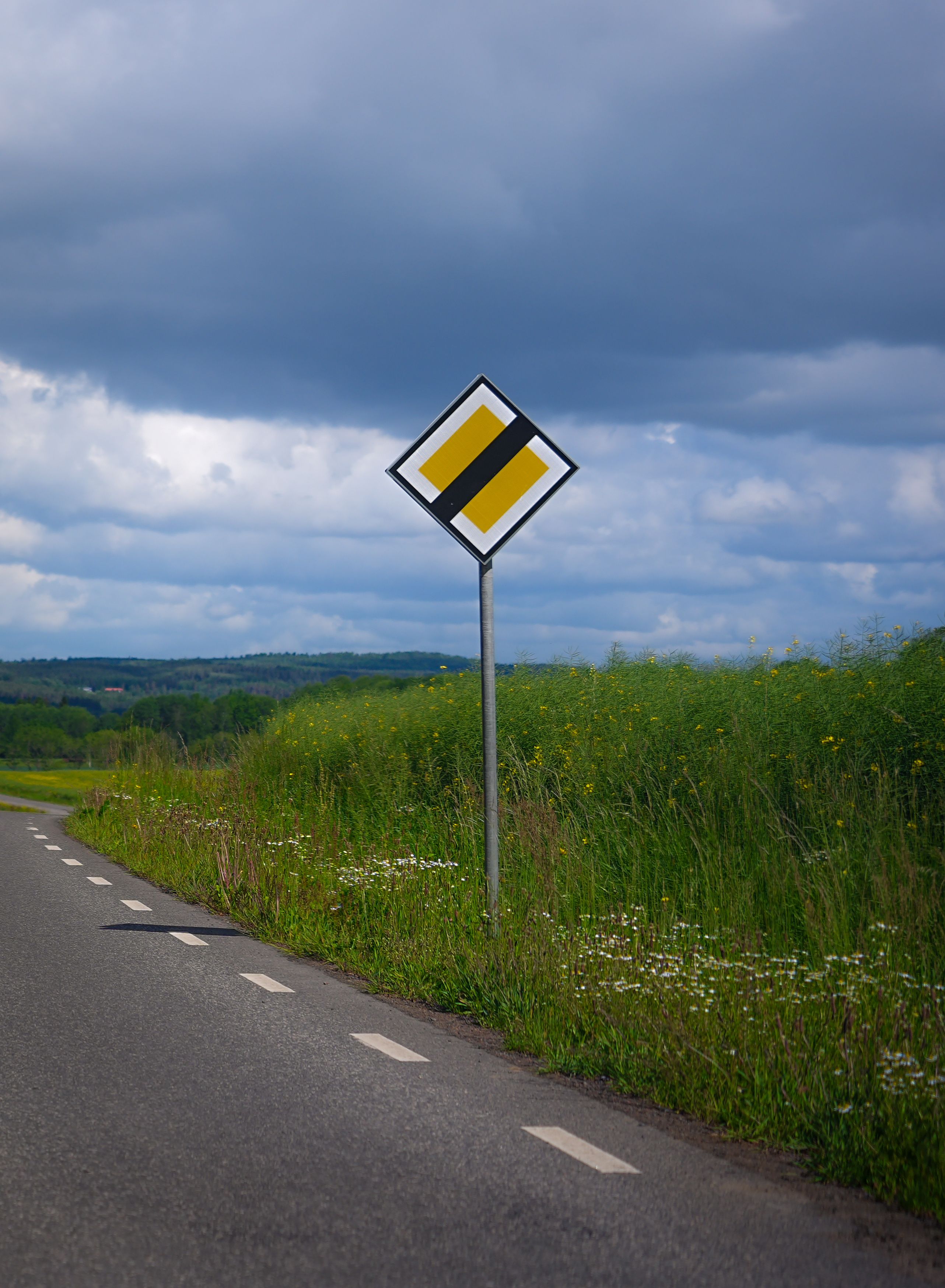 Empty countryside road featuring a traffic sign under a cloudy sky, perfect for travel themes.