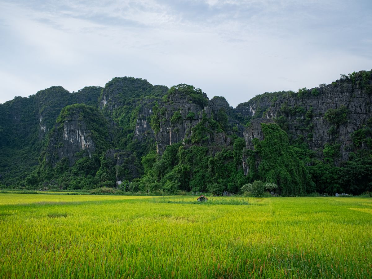 4 Days 3 nights Yoga & Ayurveda Retreat to Detox the Body & Mind 3