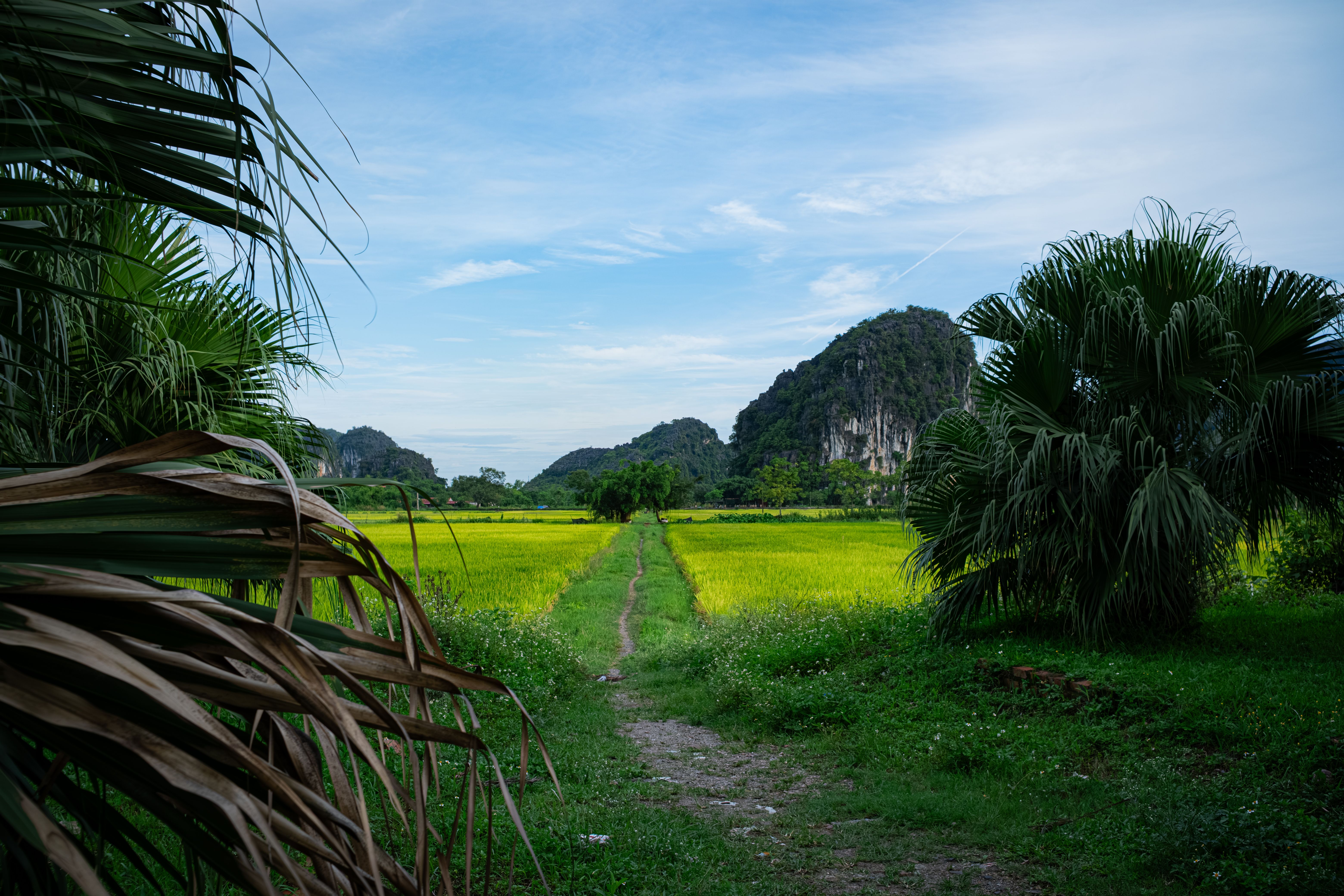 Du lịch biển miền Trung nên đi đâu: Góc nhìn người hay đi - destination