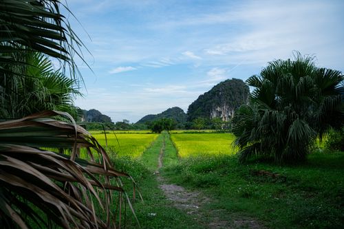 Free Explore the vibrant rice fields and towering limestone mountains in Hanoi's countryside. Stock Photo