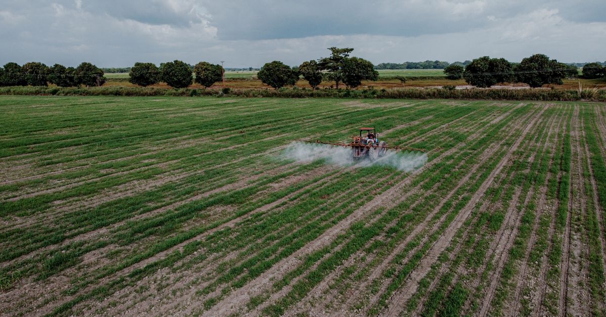 Imagem da notícia: Decisão da Suprema Corte Amplia Debate sobre Glifosato e Agricultura Regenerativa nos EUA