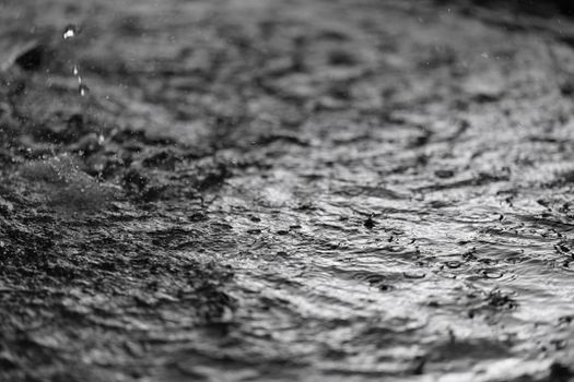 A dramatic black and white close-up of rain creating ripples on water, highlighting texture and motion.