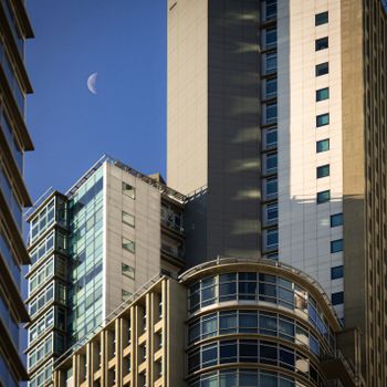 Bestor Architecture