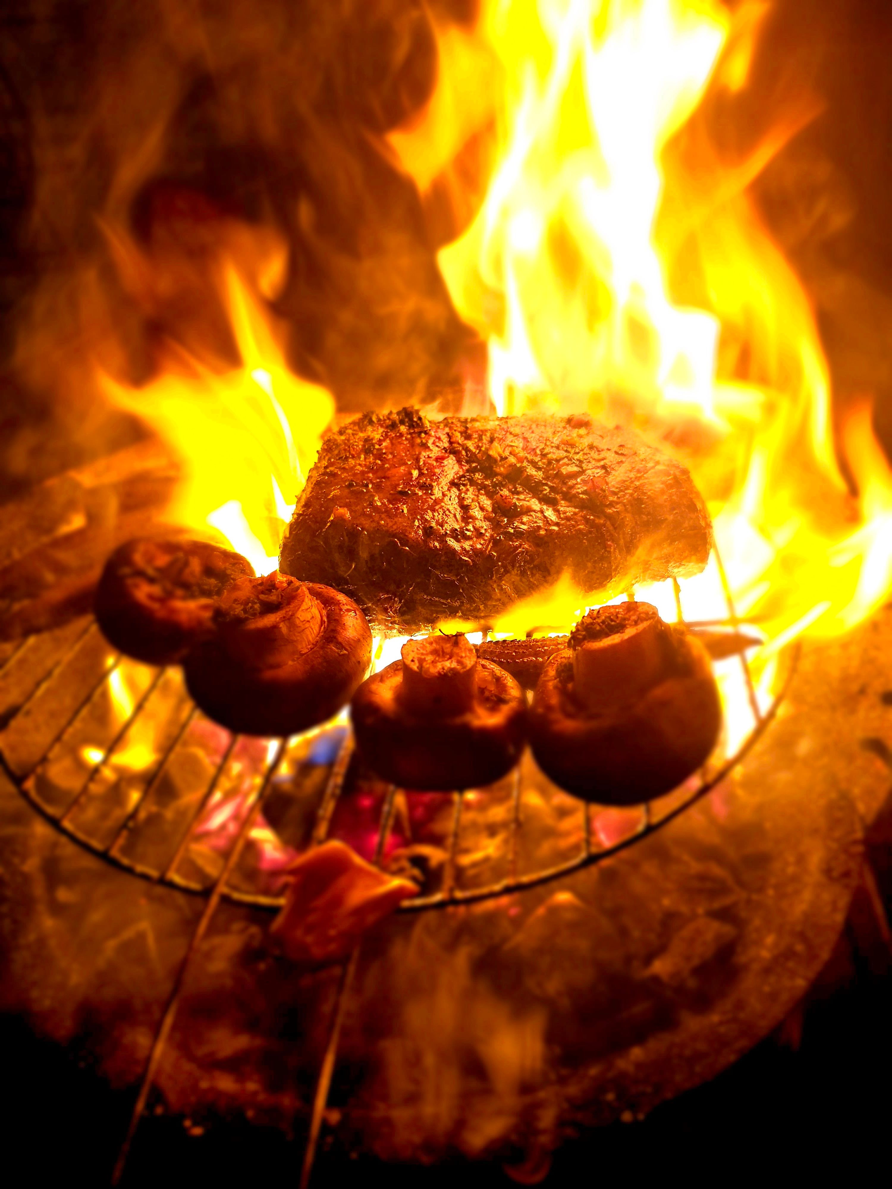 Charcoal-Grilled Venison Kebabs and Charred Scallions