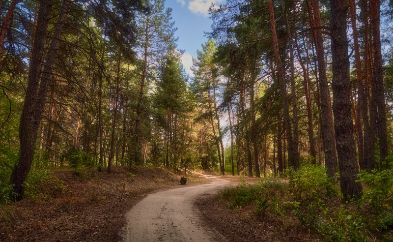 Visiting a natural burial ground in hot weather