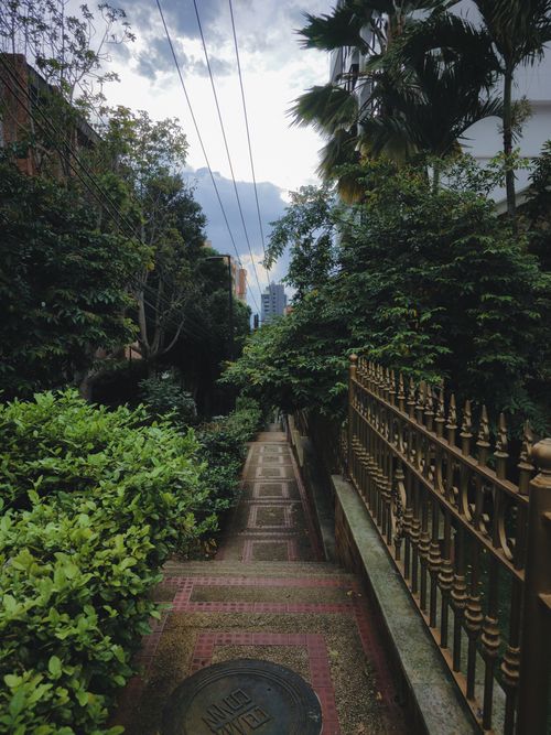 Free Scenic walkway in Bucaramanga with lush greenery and city views under a clouded sky. Stock Photo