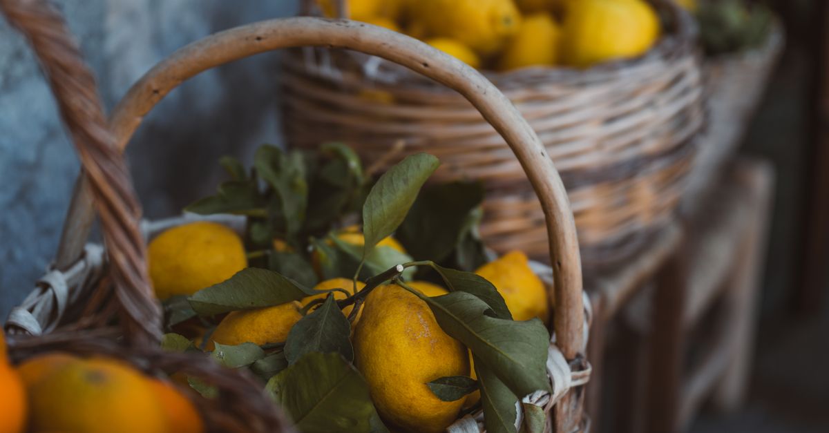 Les Fruits de Saison à Déguster au Printemps : Guide Complet