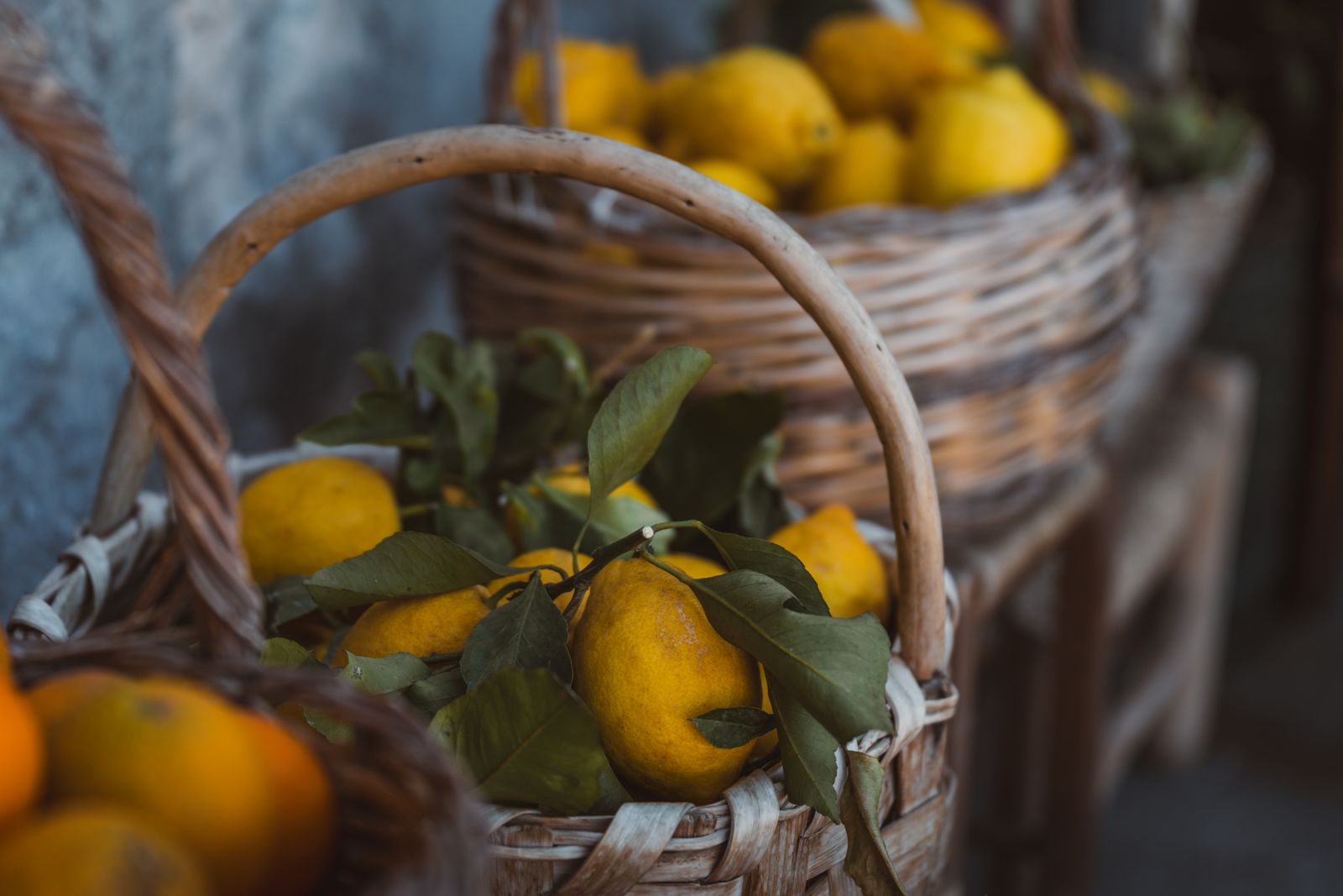 Cesti di limoni appena raccolti